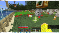 Minecraft Screenshots.png