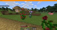 flowers.bmp