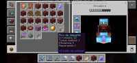 Screenshot_20200618_233826_com.mojang.minecraftpe.jpg