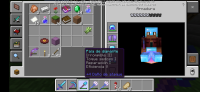 Screenshot_20200618_235314_com.mojang.minecraftpe.jpg