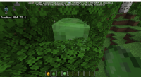 Minecraft 6_21_2020 8_51_17 PM-1.png