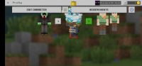 Screenshot_20200623_134315_com.mojang.minecraftpe.jpg