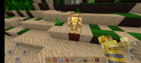Screenshot_20200623-150356_Minecraft.jpg