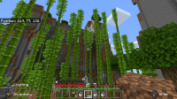 Minecraft 4_22_2020 1_43_00 AM.png