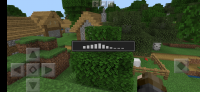 Screenshot_20200624_024816_com.mojang.minecraftpe.jpg