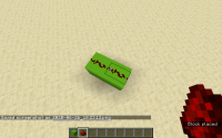 Bug-2.png