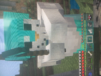 image.jpg