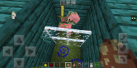 Screenshot_20200629-171505.png