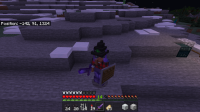Minecraft 6_30_2020 12_21_49 PM.png
