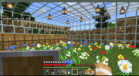 Minecraft 6_30_2020 12_16_10 PM.png