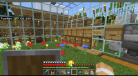 Minecraft 6_30_2020 9_13_30 PM.png