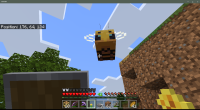Minecraft 6_30_2020 9_16_56 PM.png