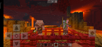 Screenshot_2020-07-01-02-53-57-473_com.mojang.minecraftpe.jpg