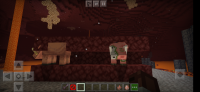 Screenshot_20200702_023136_com.mojang.minecraftpe.jpg