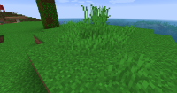 noflower.png