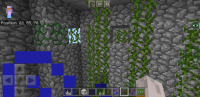 Screenshot_20200702-181901_Minecraft.jpg