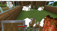 Minecraft 7_3_2020 4_43_40 PM.png