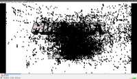 bug.jpg