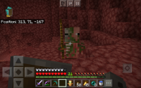Screenshot_20200704-212103_Minecraft.jpg