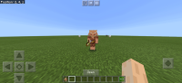 Screenshot_20200705_022747_com.mojang.minecraftpe.jpg