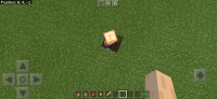 Screenshot_20200705_162132_com.mojang.minecraftpe.jpg