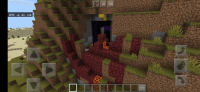 Screenshot_20200707_090907_com.mojang.minecraftpe.jpg