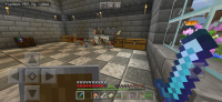 Screenshot_20200711_164824_com.mojang.minecraftpe.jpg