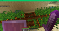 Minecraft 12-07-2020 PM 08_01_01.png