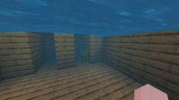 Minecraft_2020-07-13-20-52-34.png
