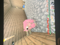 C2404239-6AC2-4AB8-A97D-776CF0124007.jpeg