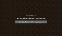 minnecraft bug.jpg