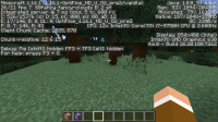 F3 screen.png