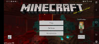Screenshot_20200719-221301_Minecraft.jpg