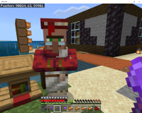 Minecraft 7_23_2020 10_24_58 AM.png