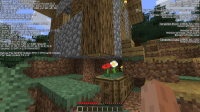 village.jpg