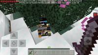 Screenshot_20200728-144636_Minecraft.jpg