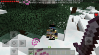 Screenshot_20200728-144629_Minecraft.jpg