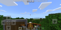 Screenshot_20200801_094519_com.mojang.minecraftpe.jpg