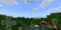 Screenshot_20200801_094512_com.mojang.minecraftpe.jpg
