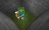 chicken name not shown.png