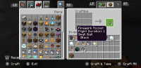 Screenshot_20200802-211750_Minecraft.jpg