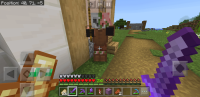 Screenshot_20200803-105735_Minecraft.jpg