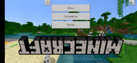 Screenshot_20200804_181515_com.mojang.minecraftpe.jpg