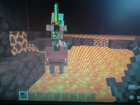 Rider with shadow bug with the Zombified Piglin.jpg