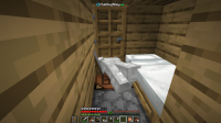 Minecraft 1.16.1 - Multiplayer (3rd-party Server) 8_9_2020 9_39_26 AM.png