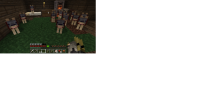 13 Wolves.png
