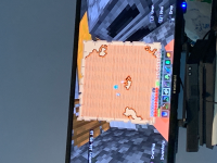 bug.JPG