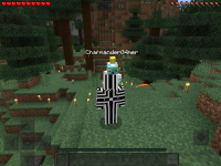 IMG_7982.PNG