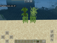 E7D88A61-BA92-42FD-BD28-8825B140047F.png