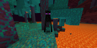 Screenshot_20200812-132700.png